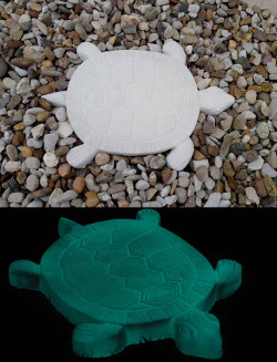 pas japonais tortue luminescent